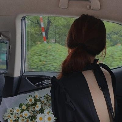 鲨人树儿